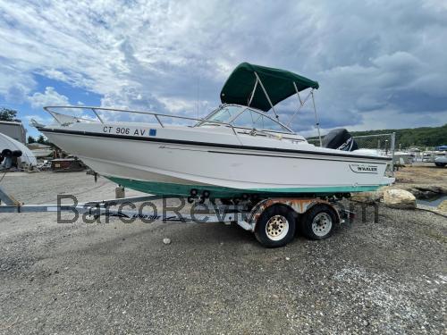 Boston Whaler Ventura 20 ficha tecnica 